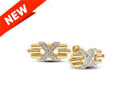 Insignia Iconic Earrings