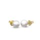 Moon Glory Earrings 